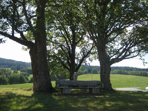 Foto 82